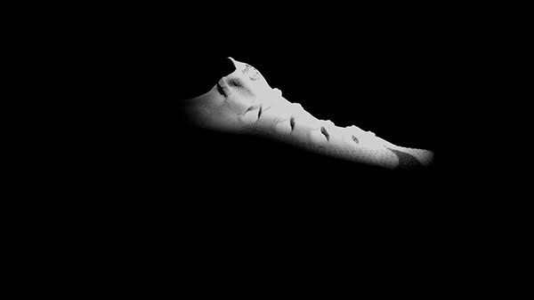 Nike - Takeoff - image 11